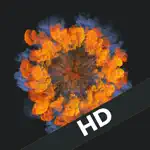 Ink HD - Exclusive & Unique Wallpapers for iPad & iPad Pro App Negative Reviews