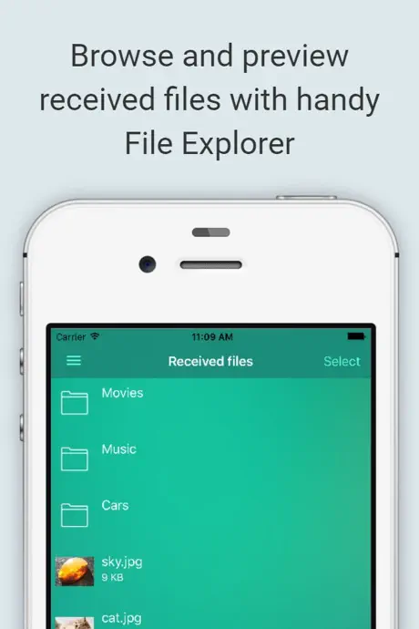 Lock Notes: Private Journal
