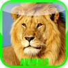 Animal Zoo Sound Baby Game - fun for all family, parent & babies can play & learn animals sounds in pet zoo story game (Free)