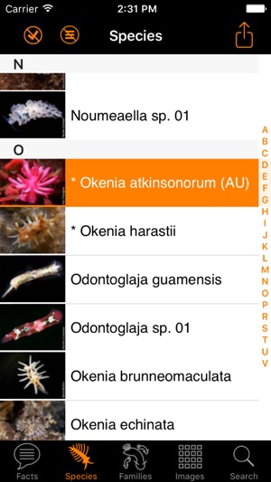 Nudibranch ID Australia NZ(圖3)-速報App