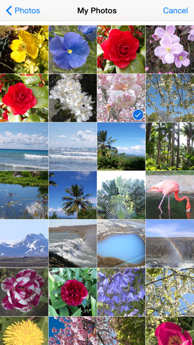 Screenshot #3 pour Picture Mix