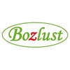 Bozlust