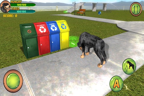 Rottweiler Dog Life Simulatorのおすすめ画像4