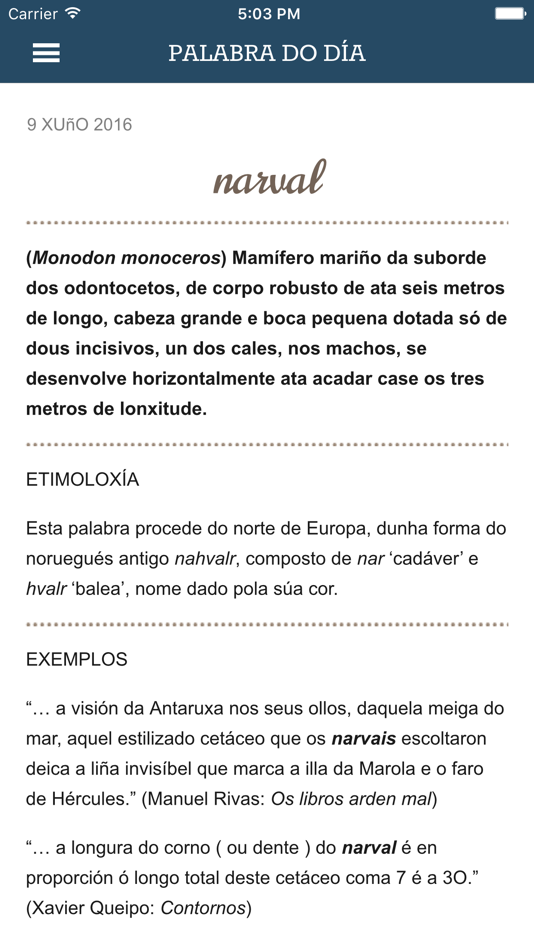 #4. Dicionario RAG (iOS) By: Real Academia Galega