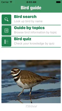 Game screenshot Bird Guide - Offline bird identification app mod apk