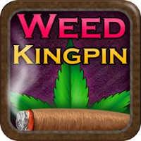 Weed Bud Firm Inc logo