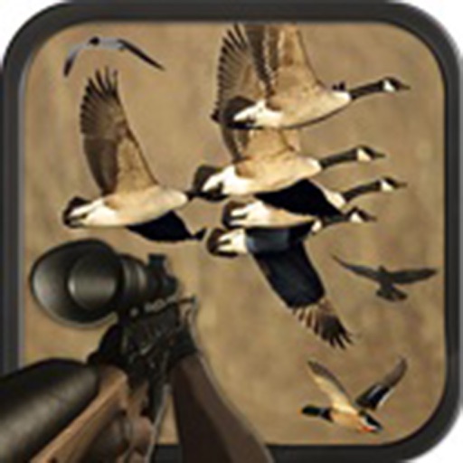 Birds Hunting Sniper Season Icon