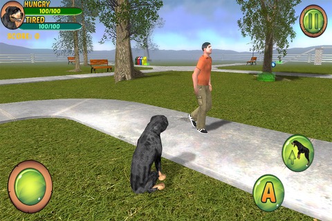 Rottweiler Dog Life Simulatorのおすすめ画像2