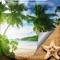 Icon Summer Beach Wallpaper – Beautiful Tropical Island and Paradise Vacation Background.s