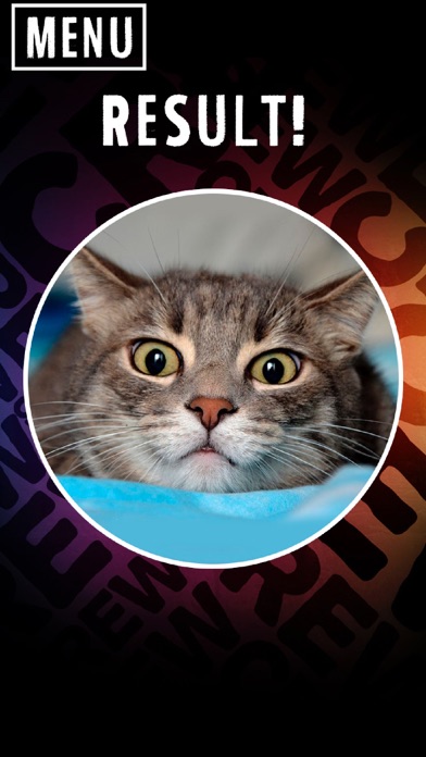 Screenshot #3 pour Scanner What Cat