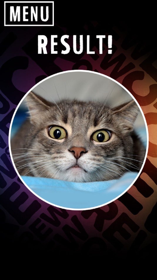 #3. Scanner What Cat (iOS) 来自: Stepan Ivanov