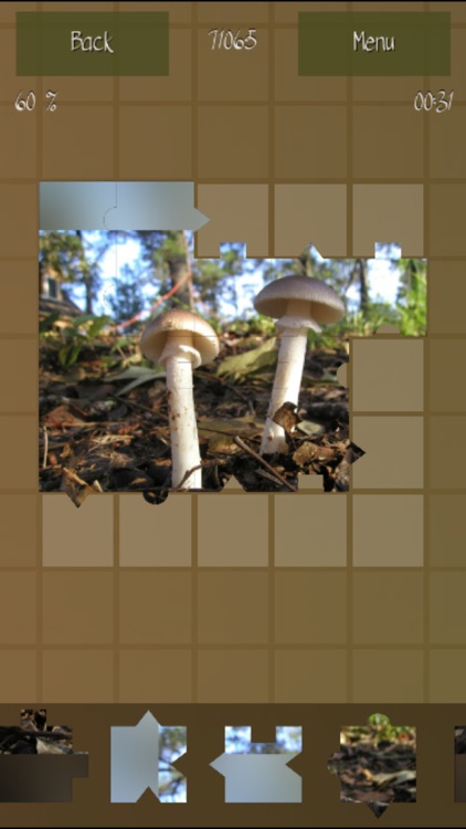 Mushrooms Puzzles Collection screenshot-3