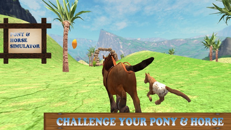 Pony Horse Simulator Kids