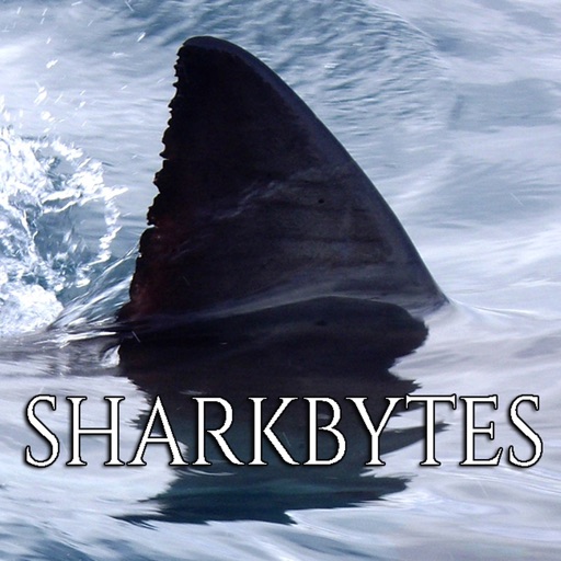 Shark Bytes NoAds