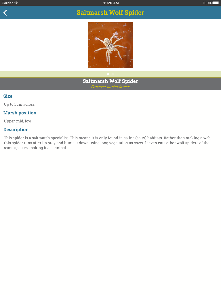 The Saltmarsh App