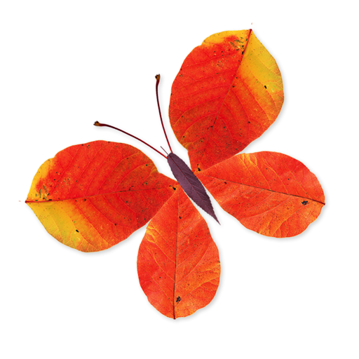 Labo Leaves(3+) icon