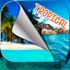 Tropical Island Wallpapers – Beautiful Summer Beach and Palm Trees Pictures