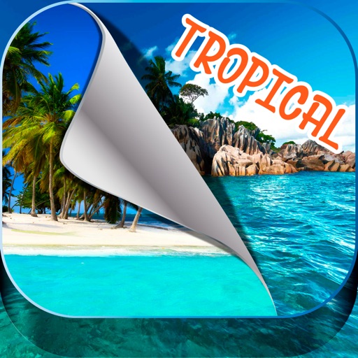 Tropical Island Wallpapers – Beautiful Summer Beach and Palm Trees Pictures icon