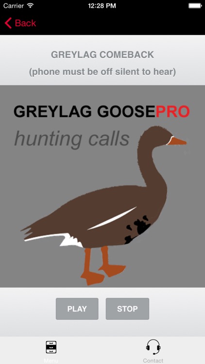 REAL Greylag Goose Hunting Calls - Greylag Goose CALLS & Greylag Goose Sounds!