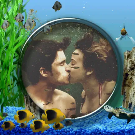 Aquarium Photo Frame - Lovely and Promising Frames for your photo Cheats
