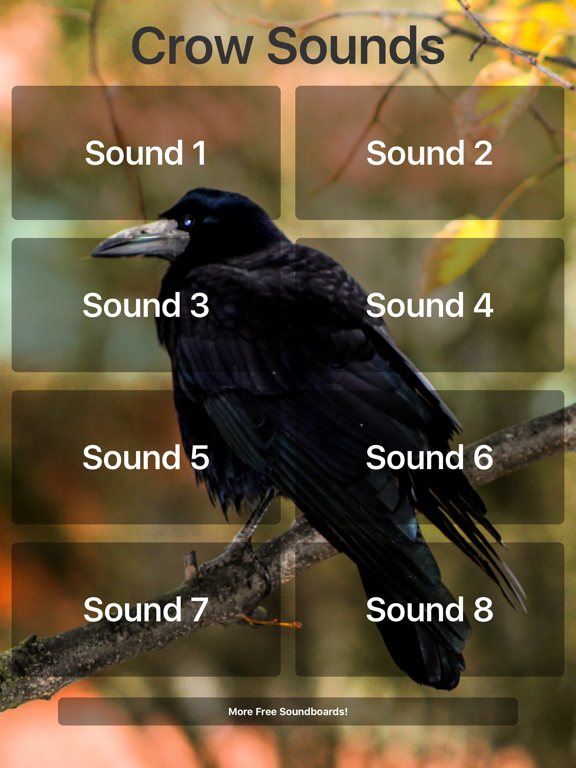 Crow Sounds