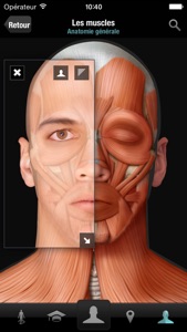 Corps humain virtuel screenshot #2 for iPhone