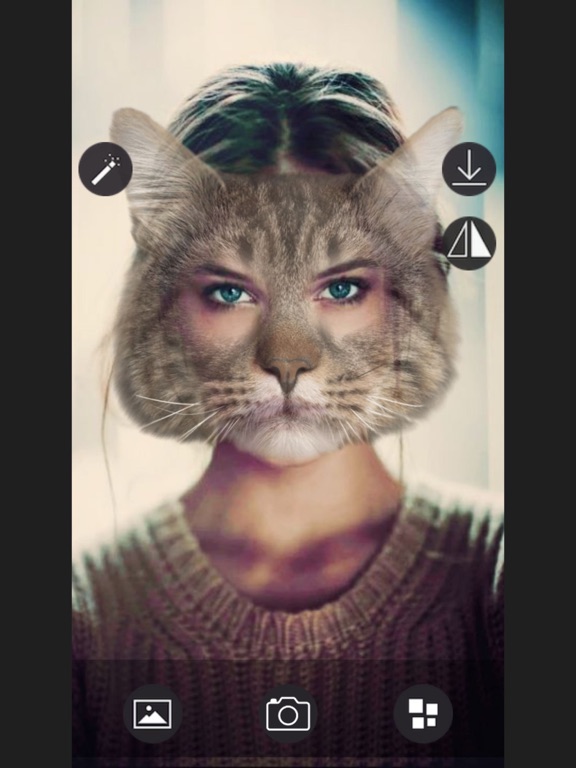 Animal Face - Selfie Editor & Stickers for Pictures