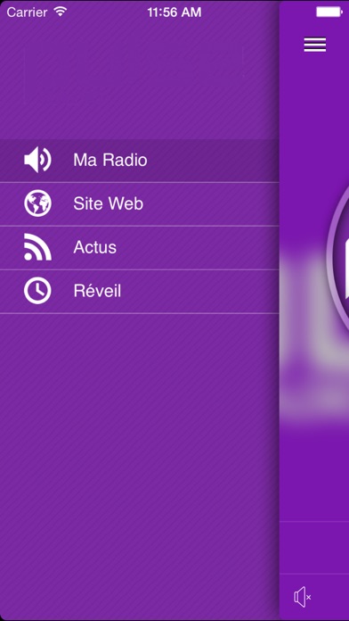 Screenshot #2 pour Pulse Radio