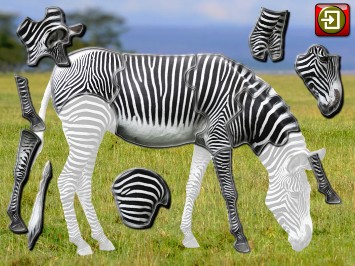 Childrens Animal Jigsaw Puzzles