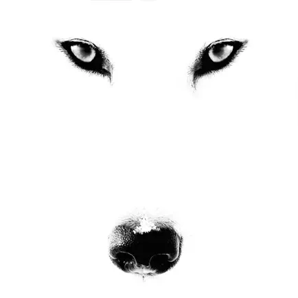 L'appel du loup Читы