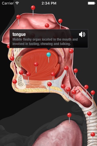 Virtual Human Bodyのおすすめ画像3