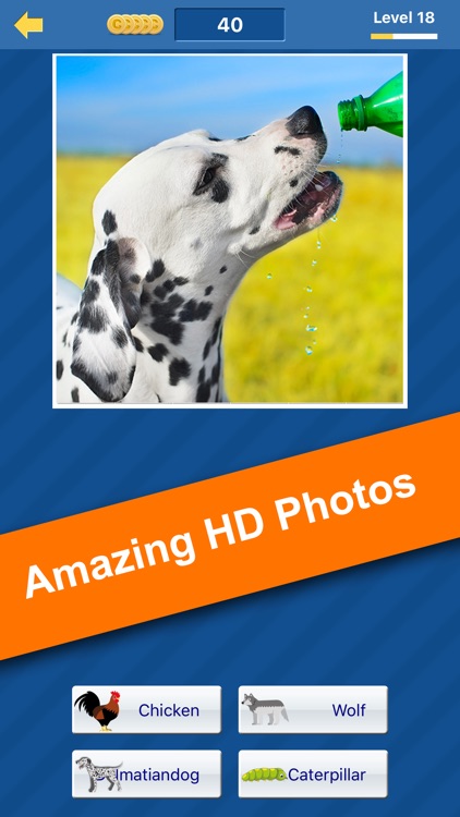 Guess the animal (free animal pictures game)