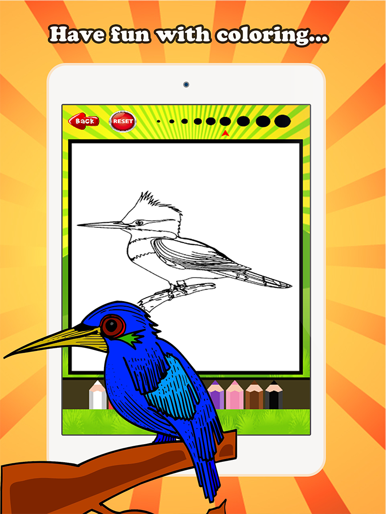 Bird Coloring Book for children age 1-10: Drawing & Coloring page games free for learning skill