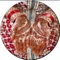 Mehendi is not represents red color it also represents joys for a festival