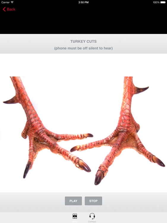 TURKEY CALLS for Hunting Fall Tom Turkeys screenshot-0