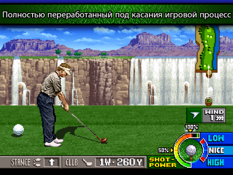 Скриншот из NEO TURF MASTERS