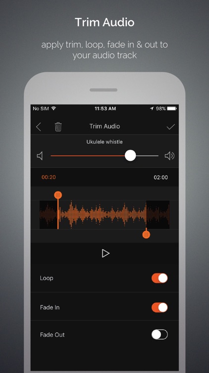 Add Music To Video Editor