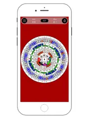 专业风水罗盘-完整版 ipad resimleri 2
