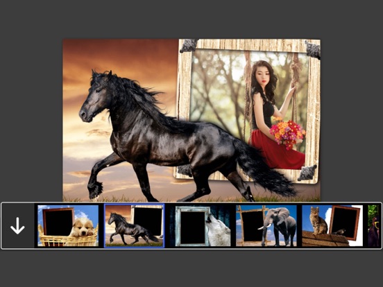 Screenshot #4 pour Animal Photo Frames - Creative Frames for your photo