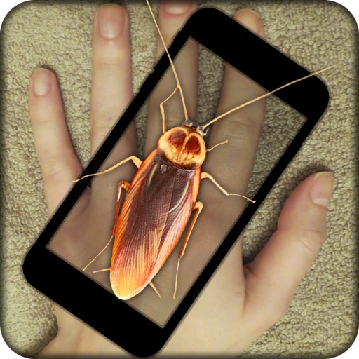 Cockroach Hand Funny Prank icon