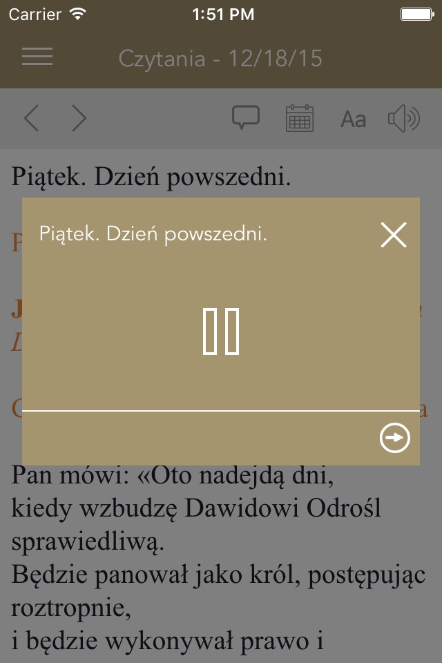 Pismo Święte screenshot 3