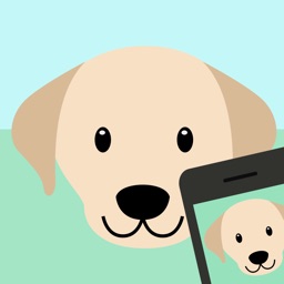 Dog Breed Identifier - Automatically identify a dog breed from a photo