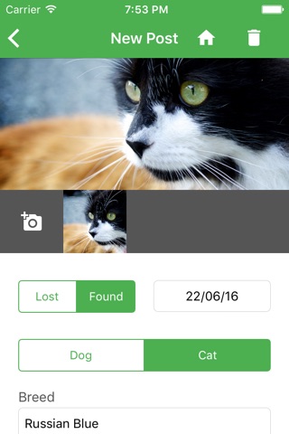 I lost my Pet screenshot 2