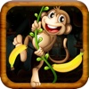 Jungle Monkey Rush : Eat Bananas