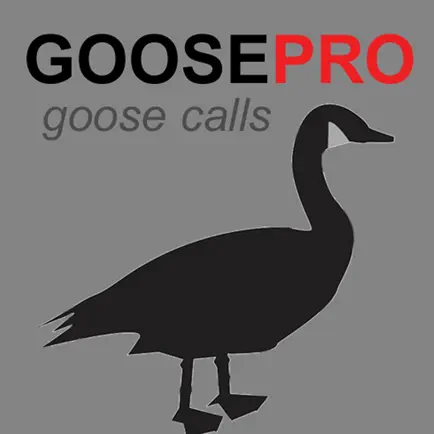 Canada Goose Calls & Goose Sounds for Hunting BLUETOOTH COMPATIBLE Cheats