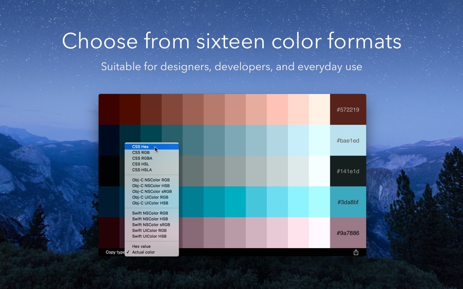 #4. Chroma (macOS) 게시자: Softpress Systems Ltd
