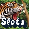 Jungle Cat Slots - Play Free Casino Slot Machine!