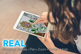 Game screenshot Colorful: Coloring for Adults hack