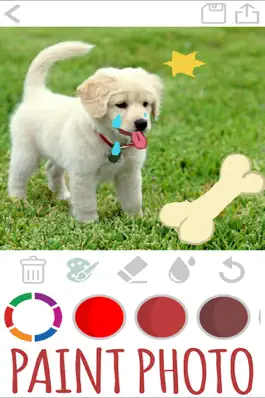 Game screenshot Нарисуйте и нарисуйте фотограф mod apk