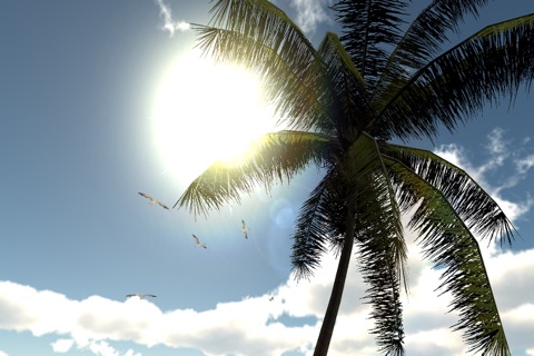 Tropical Dream VR screenshot 2